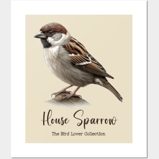 House Sparrow - The Bird Lover Collection Posters and Art